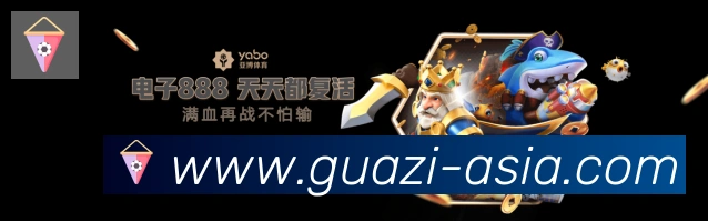 瓜子直播荣誉